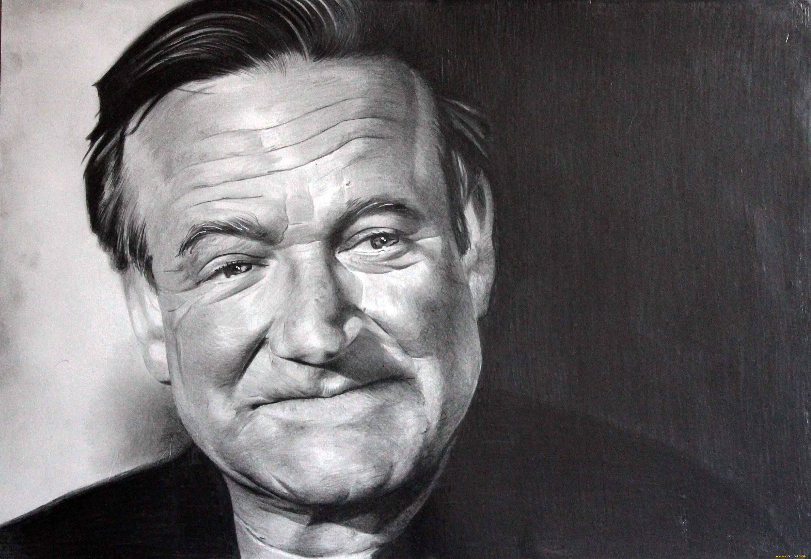 robin williams, , , , , , 